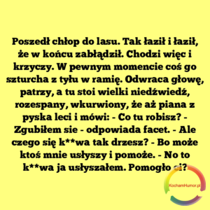 Pomogło ci?