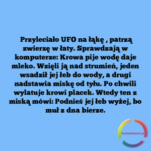 Przyleciało UFO na łąkę