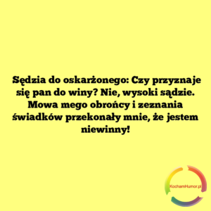 Przyznaje się pan do winy