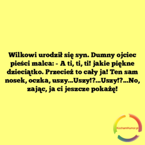 Wilkowi urodził się syn