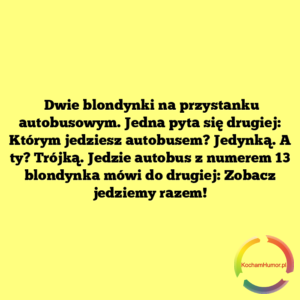 Zobacz jedziemy razem!