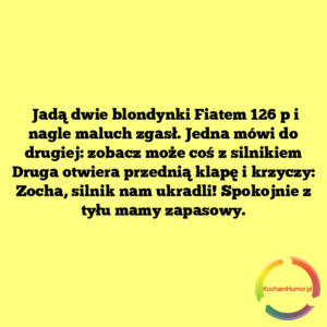 Zocha, silnik nam ukradli
