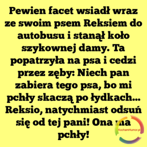 Ta Pani Ma Pchły