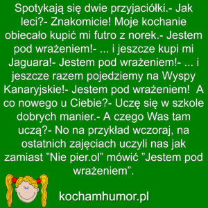 Dowcipy kochamhumor.pl Blondynki 1 1 (1)